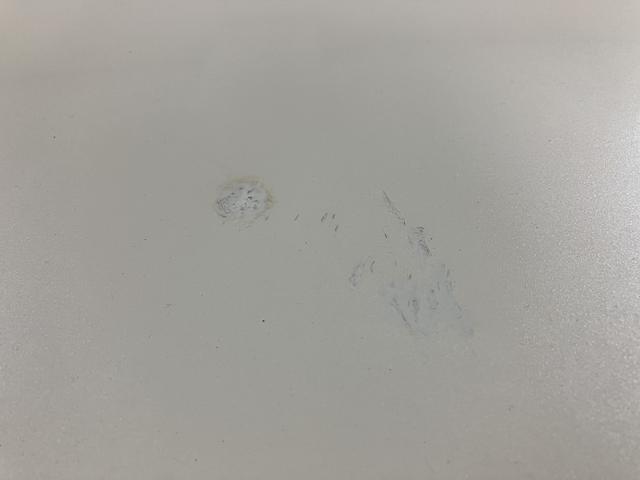 ムーヴキャンバスXリミテッドメイクアップ SAII/1年保証/認定中古車サポカーSベーシック+適合 1年間走行距離無制限保証 車検整備付 8インチフルセグナビ バックカメラ ナビ連動ドラレコ 両側パワースライドドア TVコン ETC キーフリー オートライト(大阪府)の中古車