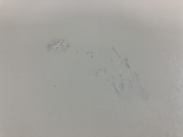 ムーヴキャンバスXリミテッドメイクアップ SAII/1年保証/認定中古車サポカーSベーシック+適合 1年間走行距離無制限保証 車検整備付 8インチフルセグナビ バックカメラ ナビ連動ドラレコ 両側パワースライドドア TVコン ETC キーフリー オートライト(大阪府)の中古車