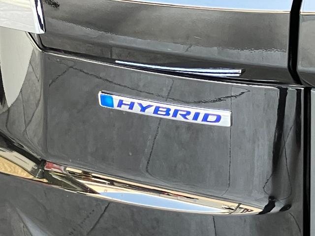 ステップワゴンスパーダスパーダハイブリッド　Ｇ　ホンダセンシング　１０型ナビ追突被害軽減ブレーキ　ＬＥＤ　スマートキー　両側電動スライドドア　１０型フルセグナビ　ＤＶＤ　Ｂｌｕｅｔｏｏｔｈ　ＵＳＢ　バックカメラ　レーダークルーズコントロール（滋賀県）の中古車