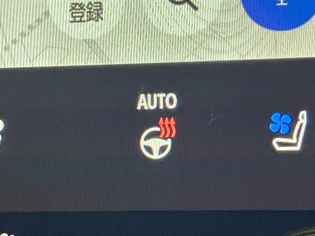 アルファードZ 14型ナビ Pカメラ モデリスタ トヨタチームメイトTSS 14型フルセグナビ パノラマカメラ Bluetooth USB 両側電動スライイド パワーバックドア アドバンストドライブ&パーク シートヒーター&エアコン ハンドルヒーター(滋賀県)の中古車