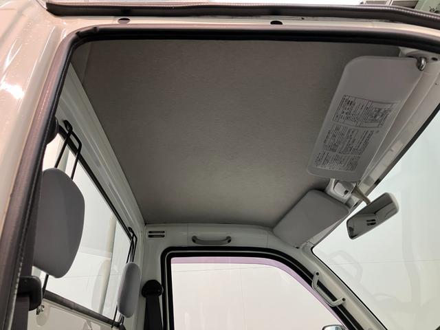 ハイゼットトラックエアコン・パワステ スペシャル 2WD 5MT車2WD 5速マニュアルミッション車 エアコン パワステ AM/FMラジオ マニュアルレベリング 工具箱 バッテリーカバー(滋賀県)の中古車