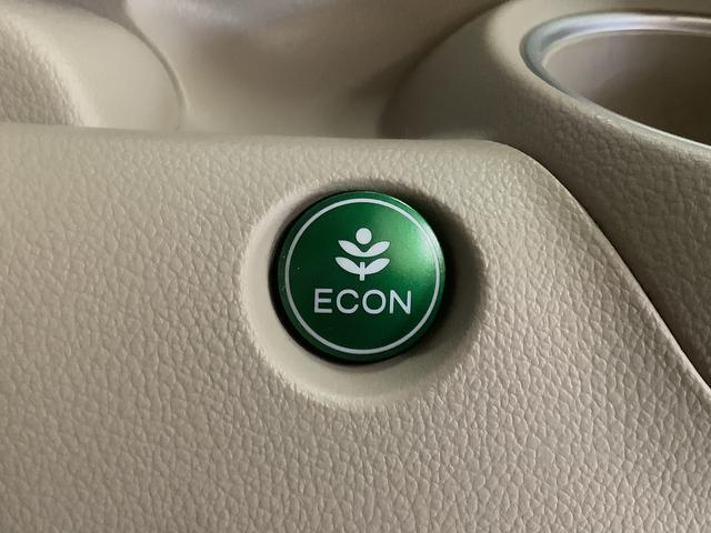 N−BOXG・ターボLパッケージ ワンオーナー ナビTV バックカメラ1年保証 ワンオーナー ナビTV ETC バックカメラ 衝突軽減ブレーキ オートクルーズコントロール 両側電動スライドドア DVD Bluetooth アイドリングストップ HIDヘッドライト(兵庫県)の中古車