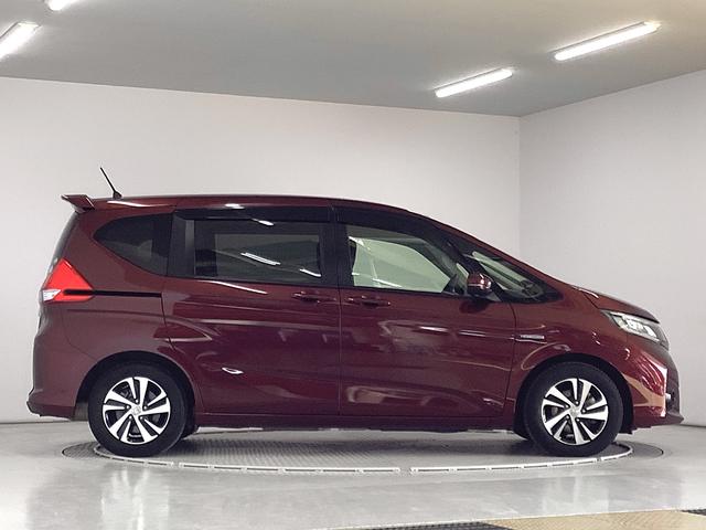 フリード＋ハイブリッドハイブリッドＥＸ　ナビＴＶ　ＥＴＣ　バックカメラ　クルコン１年保証　ナビＴＶ　ＥＴＣ　バックカメラ　衝突軽減ブレーキ　アダプティブクルーズコントロール　両側電動スライドドア　前席シートヒーター　Ｂｌｕｅｔｏｏｔｈ　ラゲッジボード　１５インチアルミホイール（兵庫県）の中古車