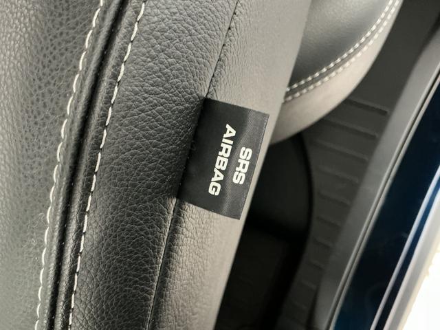 ロッキープレミアムＧ　ＨＥＶ　９インチディスプレイオーディオ　ＵＳＢ１年保証　９インチディスプレイオーディオ　パノラマモニター　アダプティブクルーズコントロール　ブラインドスポットモニター　前後コーナーセンサー　前席シートヒーター　ＵＳＢ　１７インチ純正アルミホイール（兵庫県）の中古車