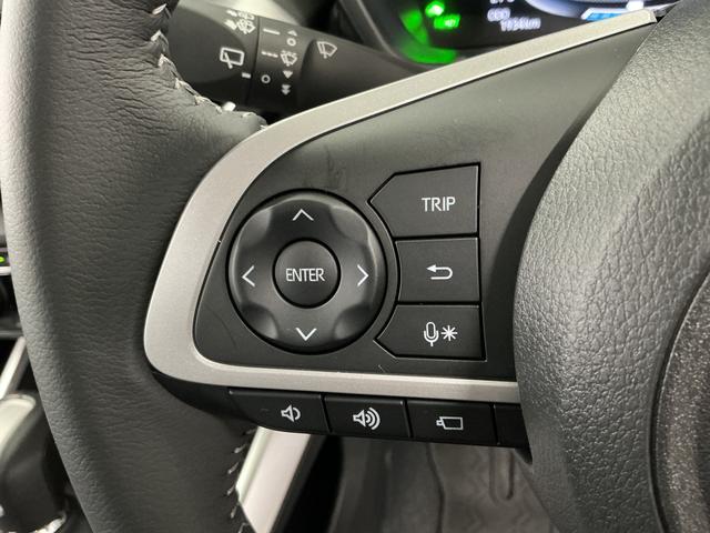 ロッキープレミアムG HEV 9インチディスプレイオーディオ USB1年保証 9インチディスプレイオーディオ パノラマモニター アダプティブクルーズコントロール ブラインドスポットモニター 前後コーナーセンサー 前席シートヒーター USB 17インチ純正アルミホイール(兵庫県)の中古車