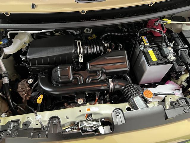 タフトＸ９インチディスプレイオーディオ　バックカメラ　ＴＶ　ラジオ　キーフリー　ステアリングスイッチ　認定中古車　ＣＶＴ　６６０（香川県）の中古車