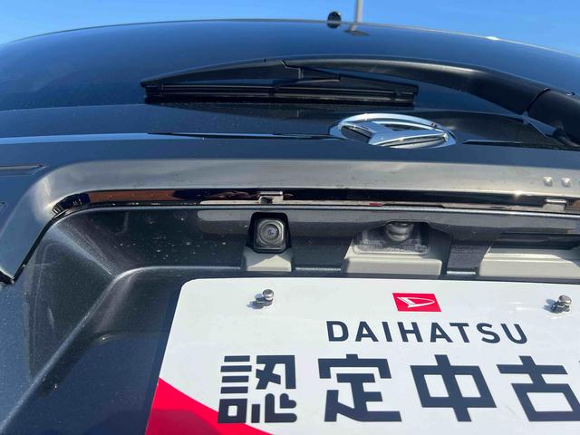 タフトＧ　ダーククロムベンチャー（岩手県）の中古車