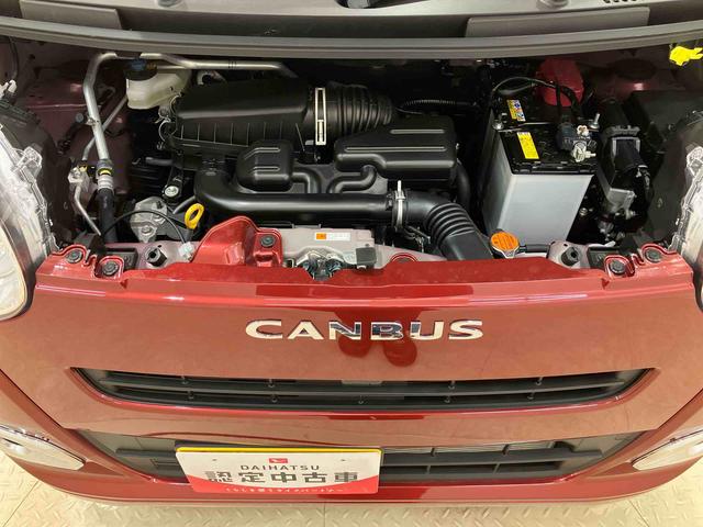 ムーヴキャンバスセオリーG(北海道)の中古車