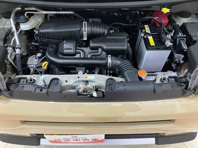 タフトＧ　クロムベンチャー（北海道）の中古車