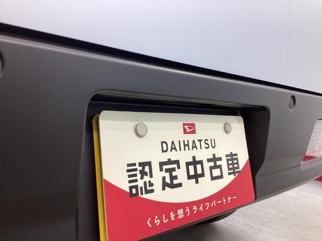 ハイゼットカーゴＤＸ（岐阜県）の中古車