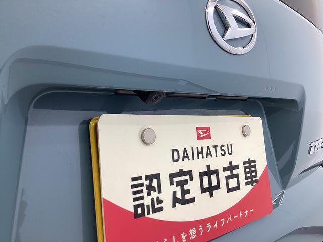 タフトＸ衝突被害軽減ブレーキ　横滑り防止装置　オートマチックハイビーム　アイドリングストップ　ステアリングスイッチ　オートライト　キーフリーシステム　オートエアコン　マット　バイザー（岐阜県）の中古車