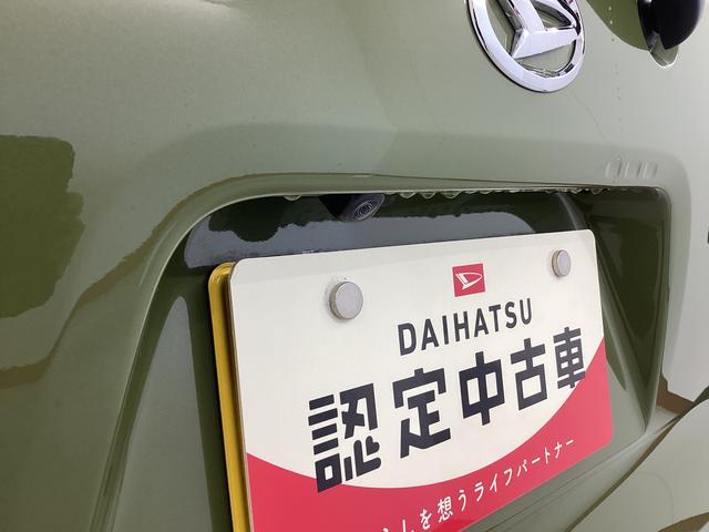 タントファンクロス衝突被害軽減ブレーキ　横滑り防止装置　オートマチックハイビーム　アイドリングストップ　ステアリングスイッチ　オートライト　キーフリーシステム　オートエアコン　パノラマカメラ　マット　バイザー（岐阜県）の中古車
