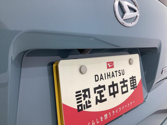 タフトＸ衝突被害軽減ブレーキ　横滑り防止装置　オートマチックハイビーム　アイドリングストップ　ステアリングスイッチ　オートライト　キーフリーシステム　オートエアコン　マット　バイザー（岐阜県）の中古車
