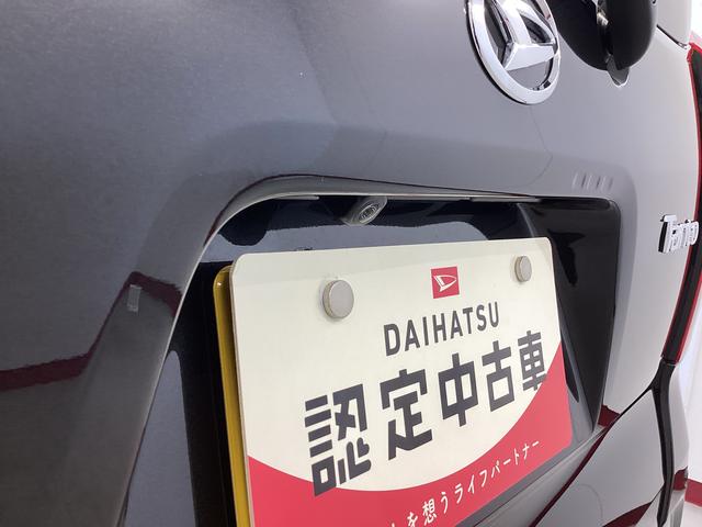 タントＸ衝突被害軽減ブレーキ　横滑り防止装置　オートマチックハイビーム　アイドリングストップ　ステアリングスイッチ　オートライト　キーフリーシステム　オートエアコン　パノラマカメラ　マット　バイザー（岐阜県）の中古車