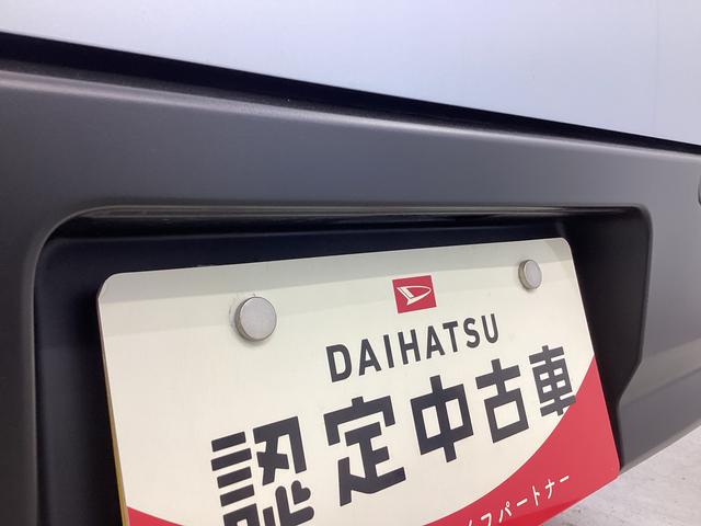 ハイゼットカーゴＤＸ衝突被害軽減ブレーキ　横滑り防止装置　４ＷＤ　オートマチックハイビーム　アイドリングストップ　オートライト　キーレス　ラジオ　エアコン　マット（岐阜県）の中古車