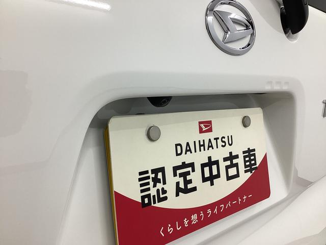 タントＸ衝突被害軽減ブレーキ　横滑り防止装置　オートマチックハイビーム　アイドリングストップ　ステアリングスイッチ　オートライト　キーフリーシステム　オートエアコン　パノラマカメラ　マット　バイザー（岐阜県）の中古車