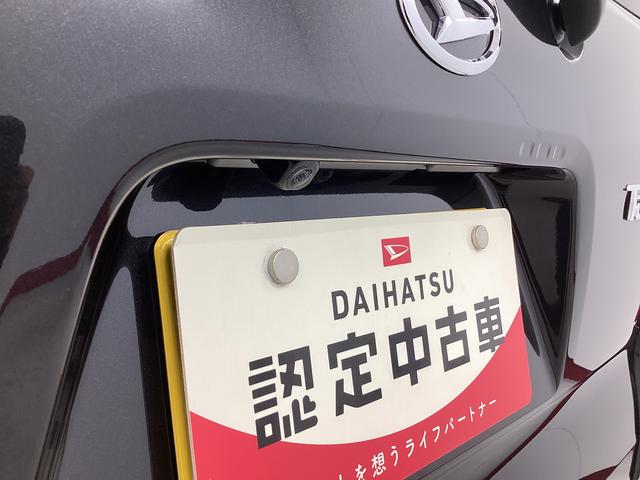 タントＸ衝突被害軽減ブレーキ　横滑り防止装置　パノラマカメラ　オートマチックハイビーム　アイドリングストップ　ステアリングスイッチ　オートライト　キーフリーシステム　オートエアコン　マット　バイザー（岐阜県）の中古車