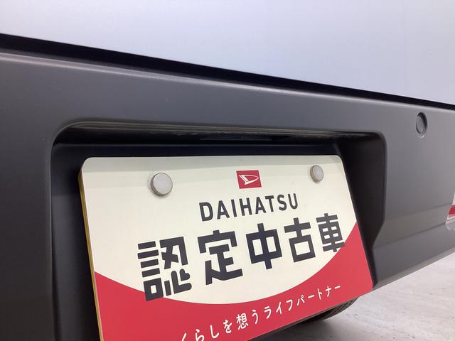 ハイゼットカーゴＤＸ衝突被害軽減ブレーキ　横滑り防止装置　２ＷＤ　オートマチックハイビーム　アイドリングストップ　オートライト　キーレス　マニュアルエアコン　マット　バイザー　ラジオ（岐阜県）の中古車