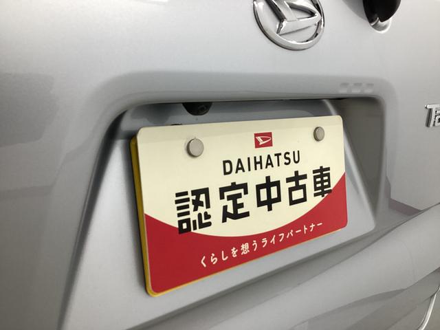 タントＸ衝突被害軽減ブレーキ　横滑り防止装置　パノラマカメラ　パノラマカメラ　オートマチックハイビーム　アイドリングストップ　ステアリングスイッチ　オートライト　キーフリー　オートエアコン　マット　バイザー（岐阜県）の中古車