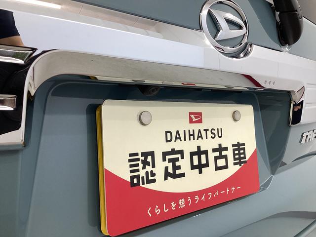タフトＧ　クロムベンチャー衝突被害軽減ブレーキ　横滑り防止装置　パノラマカメラ　オートマチックハイビーム　アイドリングストップ　ステアリングスイッチ　オートライト　キーフリーシステム　オートエアコン（岐阜県）の中古車