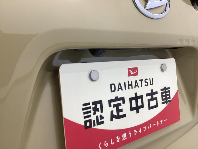 タントファンクロス衝突被害軽減ブレーキ　横滑り防止装置　パノラマカメラ　オートマチックハイビーム　アイドリングストップ　ステアリングスイッチ　オートライト　キーフリーシステム　オートエアコン　マット　バイザー（岐阜県）の中古車