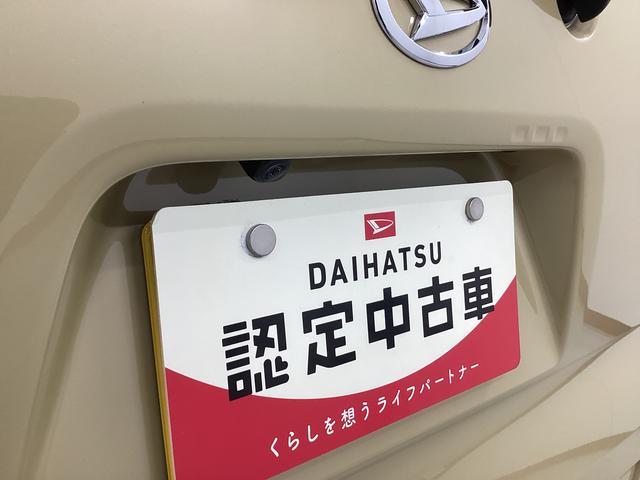 タントＸ衝突被害軽減ブレーキ　横滑り防止装置　パノラマカメラ　オートマチックハイビーム　アイドリングストップ　ステアリングスイッチ　オートライト　キーフリーシステム　オートエアコン　マット　バイザー（岐阜県）の中古車