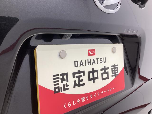 タントＸ衝突被害軽減ブレーキ　横滑り防止装置　パノラマカメラ　オートマチックハイビーム　アイドリングストップ　ステアリングスイッチ　オートライト　キーフリーシステム　オートエアコン　マット　バイザー（岐阜県）の中古車