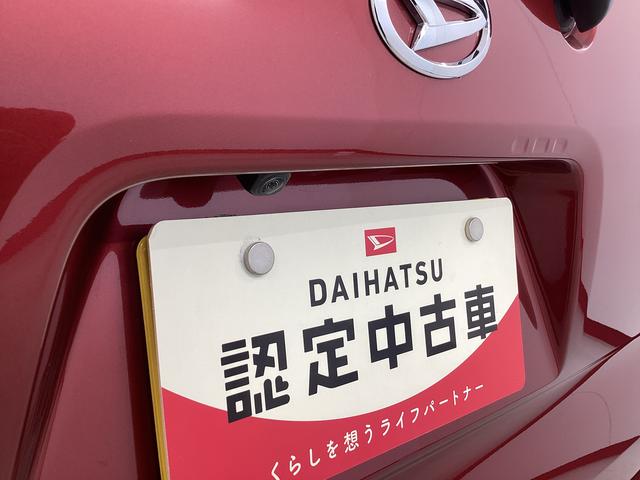 タントＸ衝突被害軽減ブレーキ　横滑り防止装置　パノラマカメラ　オートマチックハイビーム　アイドリングストップ　ステアリングスイッチ　オートライト　キーフリーシステム　オートエアコン　マット　バイザー（岐阜県）の中古車