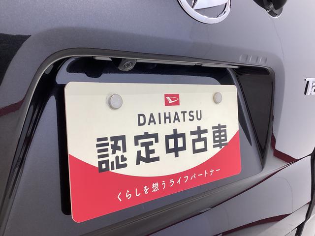 タントＸ衝突被害軽減ブレーキ　横滑り防止装置　オートハイビーム　アイドリングストップ　ステアリングスイッチ　オートライト　キーフリーシステム　オートエアコン　マット　バイザー　パノラマカメラ（岐阜県）の中古車