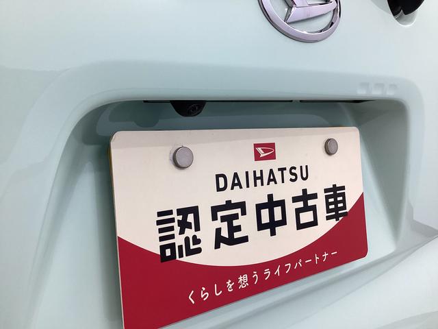 タントＸ衝突被害軽減ブレーキ　横滑り防止装置　オートマチックハイビーム　アイドリングストップ　ステアリングスイッチ　オートライト　キーフリーシステム　オートエアコン　マット　バイザー　パノラマカメラ（岐阜県）の中古車