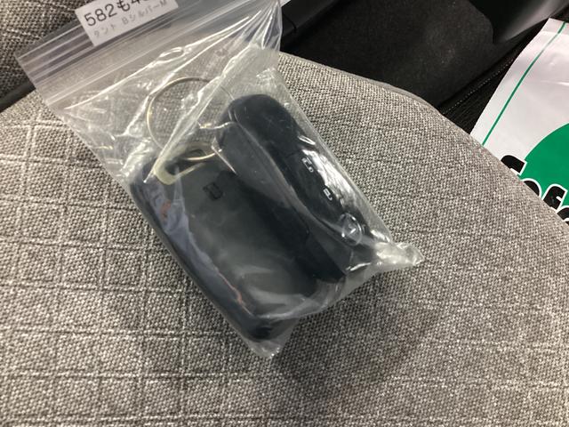 タントＸ衝突被害軽減ブレーキ　横滑り防止装置　オートハイビーム　アイドリングストップ　ステアリングスイッチ　オートライト　キーフリーシステム　オートエアコン　マット　バイザー　パノラマカメラ（岐阜県）の中古車