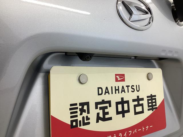 タントＸ衝突被害軽減ブレーキ　横滑り防止装置　オートハイビーム　アイドリングストップ　ステアリングスイッチ　オートライト　キーフリーシステム　オートエアコン　パノラマカメラ　マット　バイザー（岐阜県）の中古車