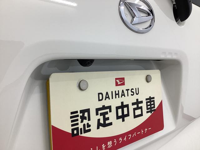 タントＸ衝突被害軽減ブレーキ　横滑り防止装置　オートハイビーム　アイドリングストップ　ステアリングスイッチ　オートライト　キーフリーシステム　オートエアコン　パノラマカメラ　マット　バイザー（岐阜県）の中古車