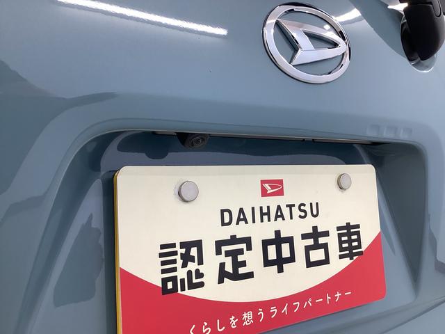 タントファンクロス衝突被害軽減ブレーキ　横滑り防止装置　オートハイビーム　アイドリングストップ　ステアリングスイッチ　オートライト　キーフリーシステム　オートエアコン　パノラマカメラ　マット　バイザー（岐阜県）の中古車