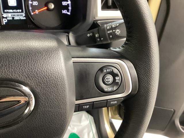 タフトＧターボ（岐阜県）の中古車