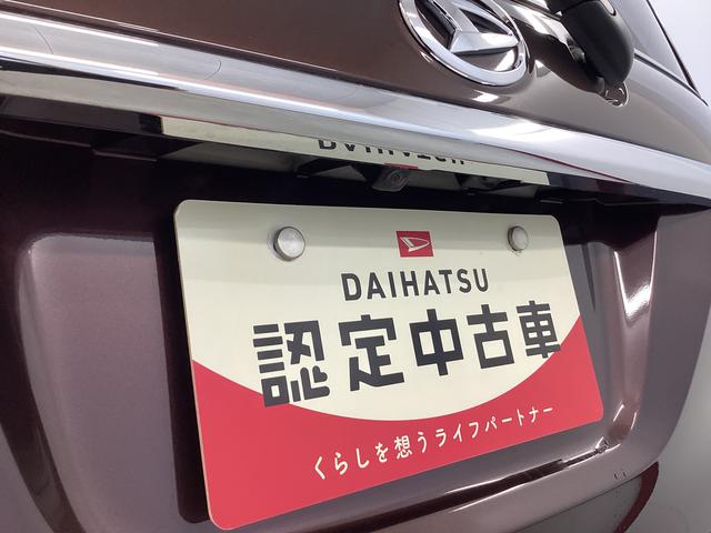 キャストスタイルＧ　ＶＳ　ＳＡIII衝突被害軽減ブレーキ　横滑り防止装置　オートハイビーム　アイドリングストップ　ステアリングスイッチ　オートライト　キーフリーシステム　オートエアコン　パノラマカメラ　マット　バイザー（岐阜県）の中古車