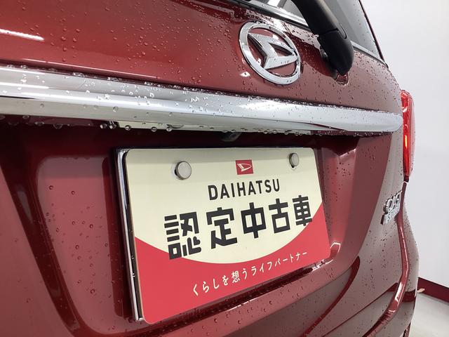 キャストスタイルＧ　ＶＳ　ＳＡIII衝突被害軽減ブレーキ　横滑り防止装置　オートハイビーム　アイドリングストップ　ステアリングスイッチ　オートライト　キーフリー　オートエアコン　ナビ　ドラレコ　パノラマカメラ　ＥＴＣ　マット　バイザー（岐阜県）の中古車
