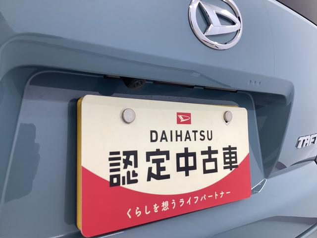 タフトＸ衝突被害軽減ブレーキ　横滑り防止装置　オートハイビーム　アイドリングストップ　ステアリングスイッチ　オートライト　キーフリーシステム　オートエアコン　マット　バイザー（岐阜県）の中古車