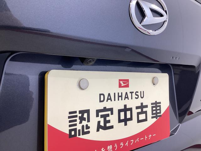 タフトX衝突被害軽減ブレーキ 横滑り防止装置 オートハイビーム アイドリングストップ ステアリングスイッチ オートライト キーフリーシステム オートエアコン パノラマカメラ マット バイザー(岐阜県)の中古車