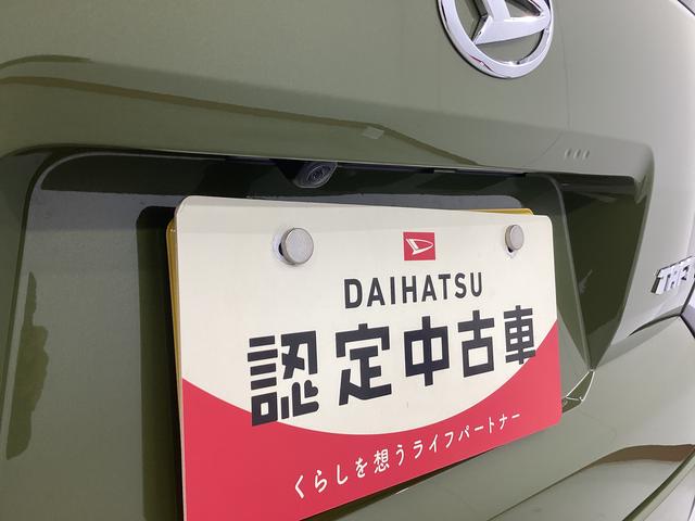 タフトＸ衝突被害軽減ブレーキ　横滑り防止装置　オートハイビーム　アイドリングストップ　ステアリングスイッチ　オートライト　キーフリーシステム　オートエアコン　パノラマカメラ　マット　バイザー（岐阜県）の中古車