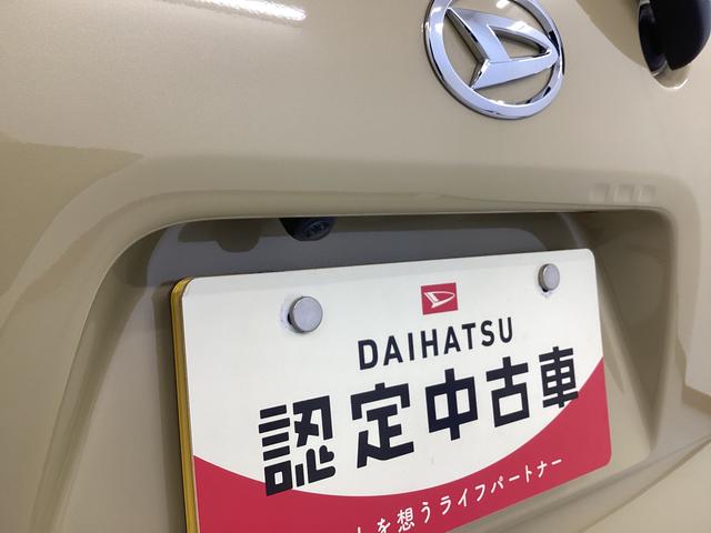タントＸ衝突被害軽減ブレーキ　横滑り防止装置　オートハイビーム　アイドリングストップ　ステアリングスイッチ　オートライト　キーフリーシステム　オートエアコン　パノラマカメラ　マット　バイザー（岐阜県）の中古車