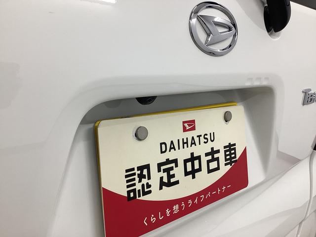 タントＸ衝突被害軽減ブレーキ　横滑り防止装置　オートハイビーム　アイドリングストップ　ステアリングスイッチ　オートライト　キーフリーシステム　オートエアコン　パノラマカメラ　マット　バイザー（岐阜県）の中古車