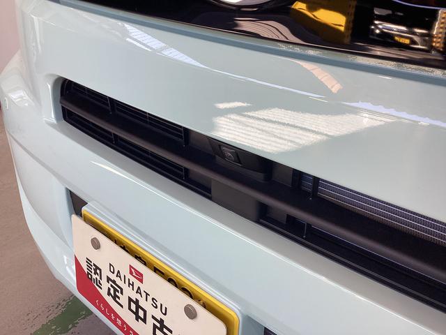 タントＸ衝突被害軽減ブレーキ　横滑り防止装置　オートハイビーム　アイドリングストップ　ステアリングスイッチ　オートライト　キーフリーシステム　オートエアコン　パノラマカメラ　マット　バイザー（岐阜県）の中古車