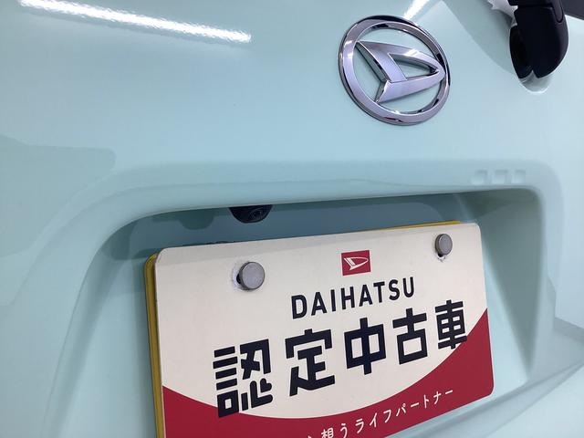 タントＸ衝突被害軽減ブレーキ　横滑り防止装置　オートハイビーム　アイドリングストップ　ステアリングスイッチ　オートライト　キーフリーシステム　オートエアコン　パノラマカメラ　マット　バイザー（岐阜県）の中古車