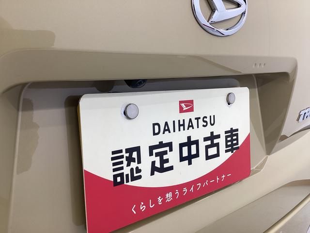 タフトＸ衝突被害軽減ブレーキ　横滑り防止装置　オートハイビーム　アイドリングストップ　ステアリングスイッチ　オートライト　キーフリーシステム　オートエアコン　パノラマカメラ　マット　バイザー（岐阜県）の中古車