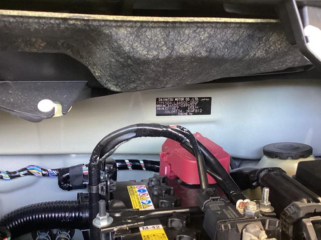 タントＸ衝突被害軽減ブレーキ　横滑り防止装置　オートハイビーム　アイドリングストップ　ステアリングスイッチ　オートライト　キーフリーシステム　オートエアコン　パノラマカメラ　マット　バイザー（岐阜県）の中古車