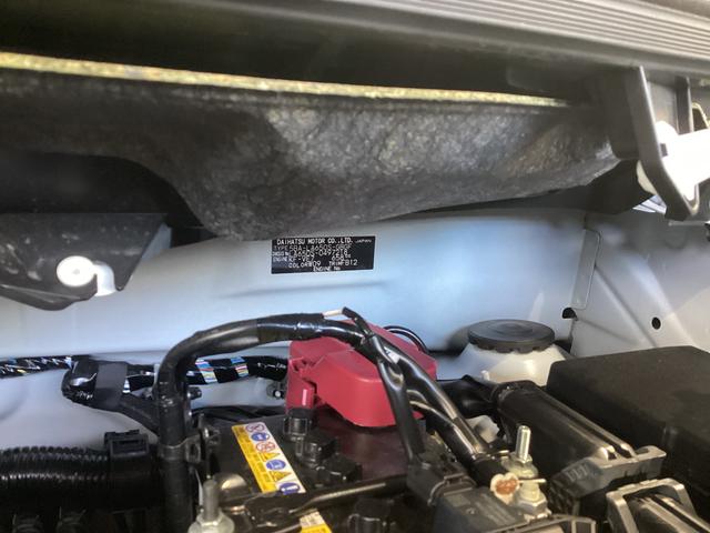 タントＸ衝突被害軽減ブレーキ　横滑り防止装置　オートハイビーム　アイドリングストップ　ステアリングスイッチ　オートライト　キーフリーシステム　オートエアコン　パノラマカメラ　マット　バイザー（岐阜県）の中古車