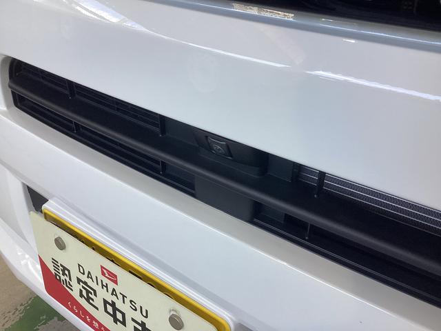 タントＸ衝突被害軽減ブレーキ　横滑り防止装置　オートハイビーム　アイドリングストップ　ステアリングスイッチ　オートライト　キーフリーシステム　オートエアコン　パノラマカメラ　マット　バイザー（岐阜県）の中古車