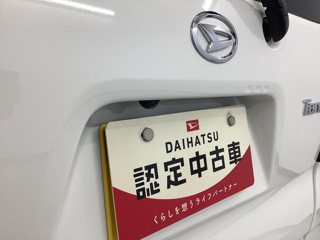 タントＸ衝突被害軽減ブレーキ　横滑り防止装置　オートハイビーム　アイドリングストップ　ステアリングスイッチ　オートライト　キーフリーシステム　オートエアコン　パノラマカメラ　マット　バイザー（岐阜県）の中古車