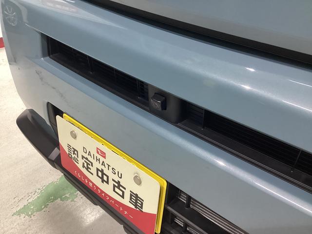 タフトＸ衝突被害軽減ブレーキ　横滑り防止装置　オートハイビーム　アイドリングストップ　ステアリングスイッチ　オートライト　キーフリーシステム　オートエアコン　パノラマカメラ　マット　バイザー（岐阜県）の中古車